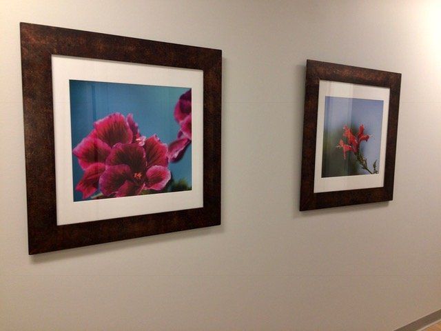Two framed pictures of flowers are hanging on a wall