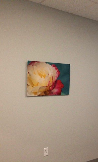 A painting of a flower is hanging on a wall.