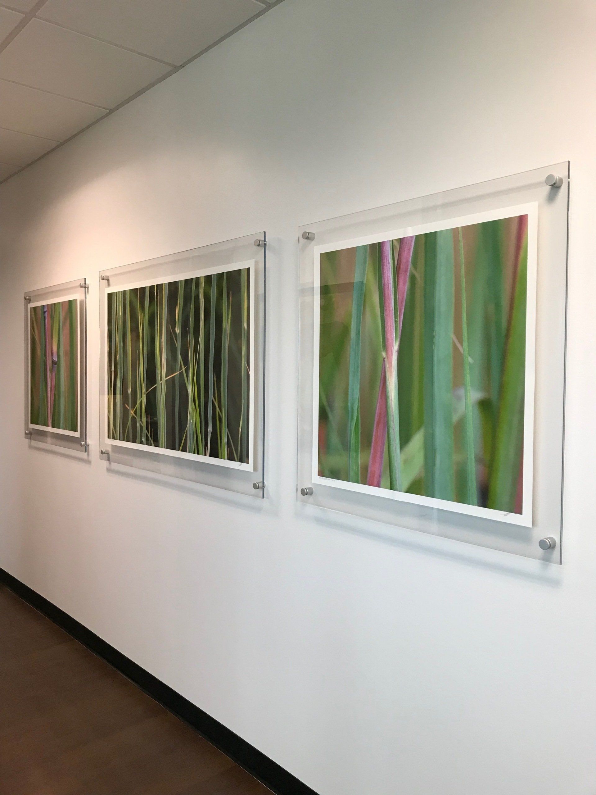 Three paintings are hanging on a wall in a hallway.
