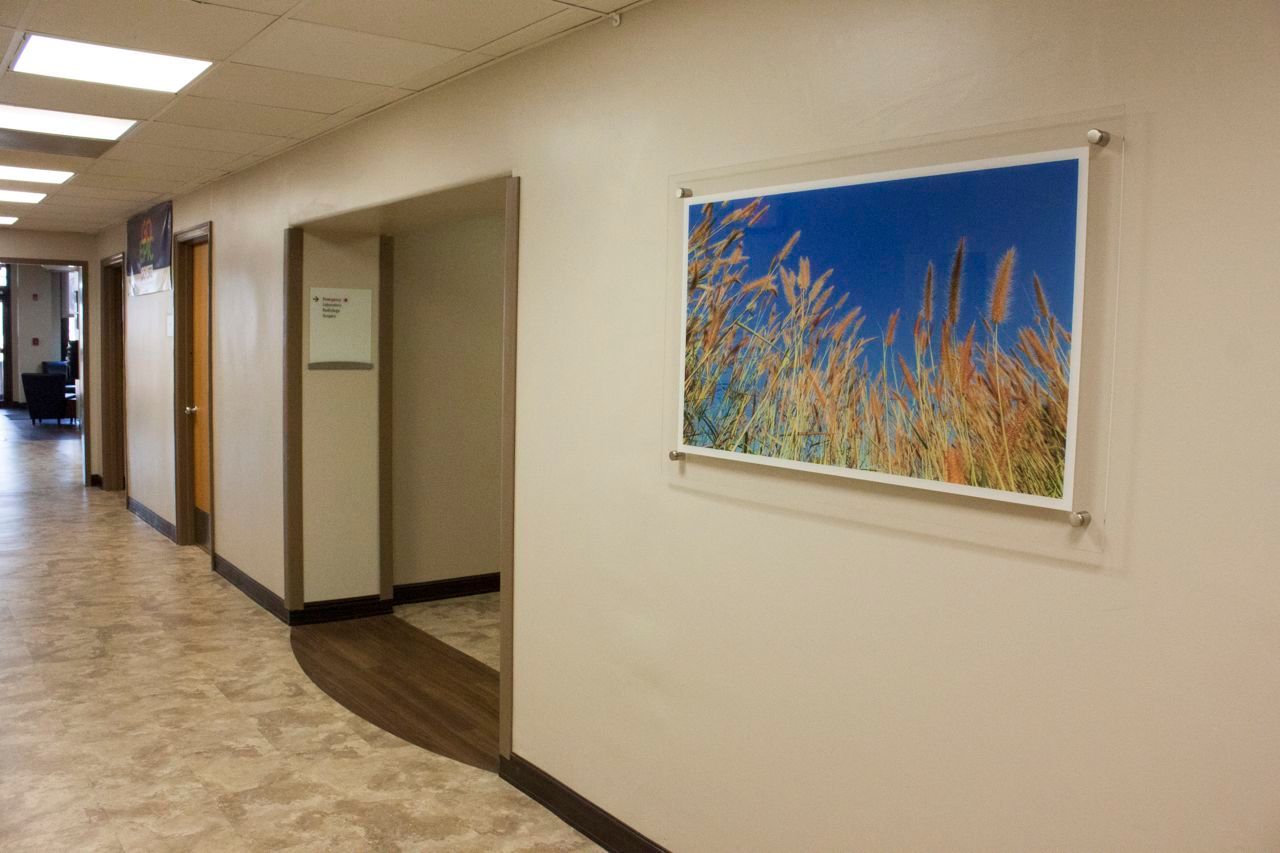 A hallway with a picture of a field on the wall