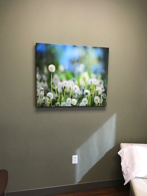 A painting of dandelions is hanging on a wall