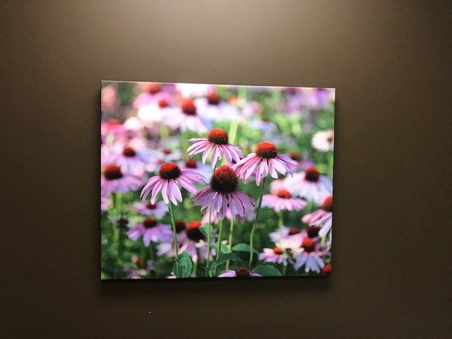 A painting of purple flowers on a brown wall