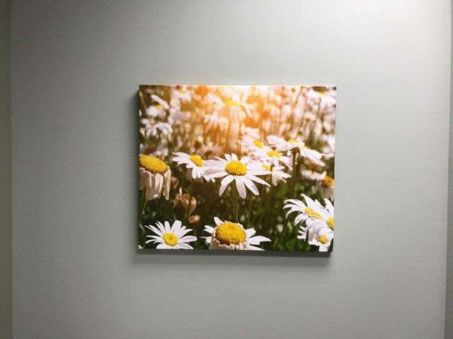A painting of daisies is hanging on a wall.