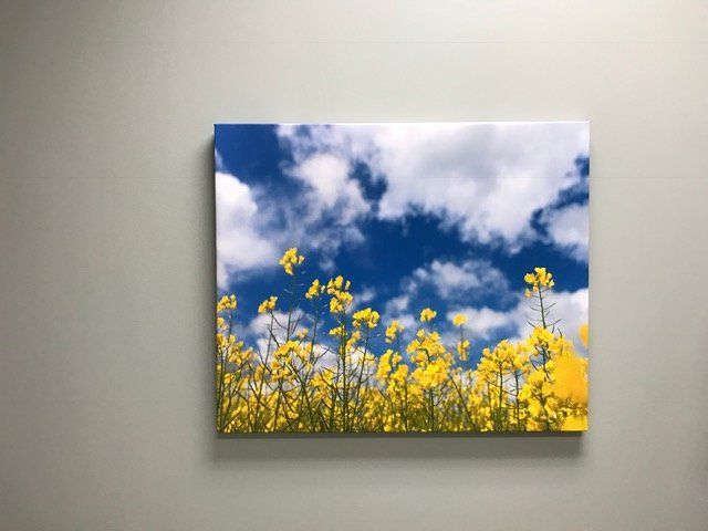 A painting of yellow flowers against a blue sky with clouds