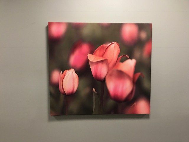 A painting of pink flowers is hanging on a wall