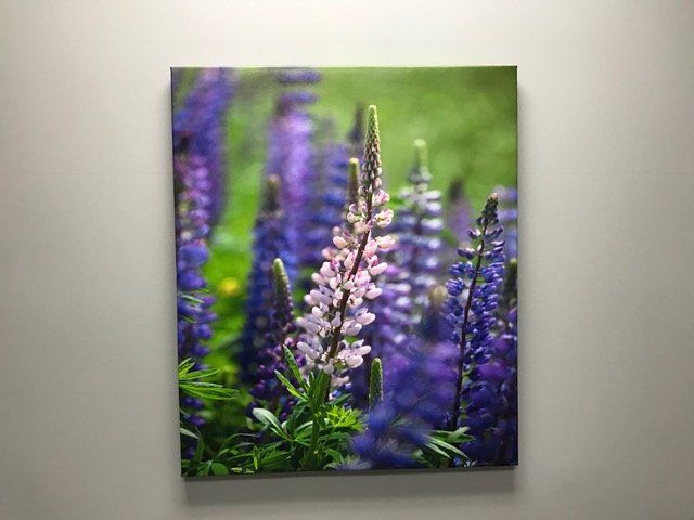A painting of purple flowers is hanging on a wall.