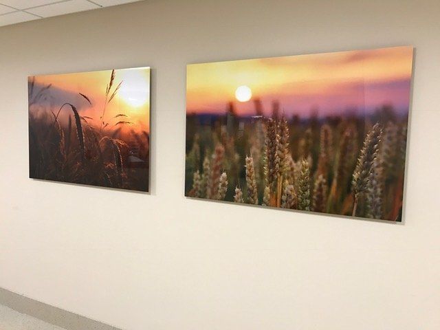 Two paintings of a field of wheat are hanging on a wall