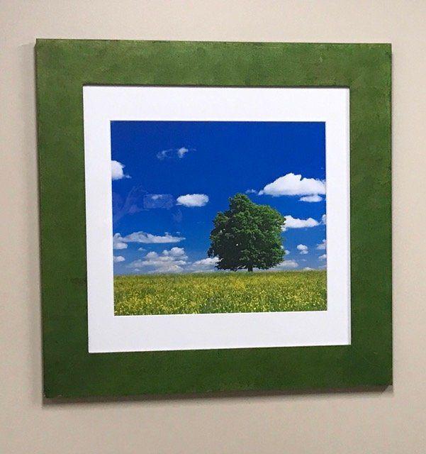 A picture of a tree in a field in a green frame