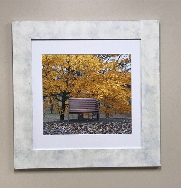 A picture of a bench under a tree with yellow leaves