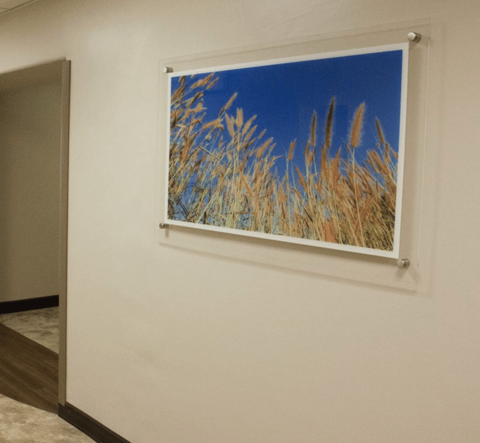 A picture of tall grass against a blue sky hangs on a wall