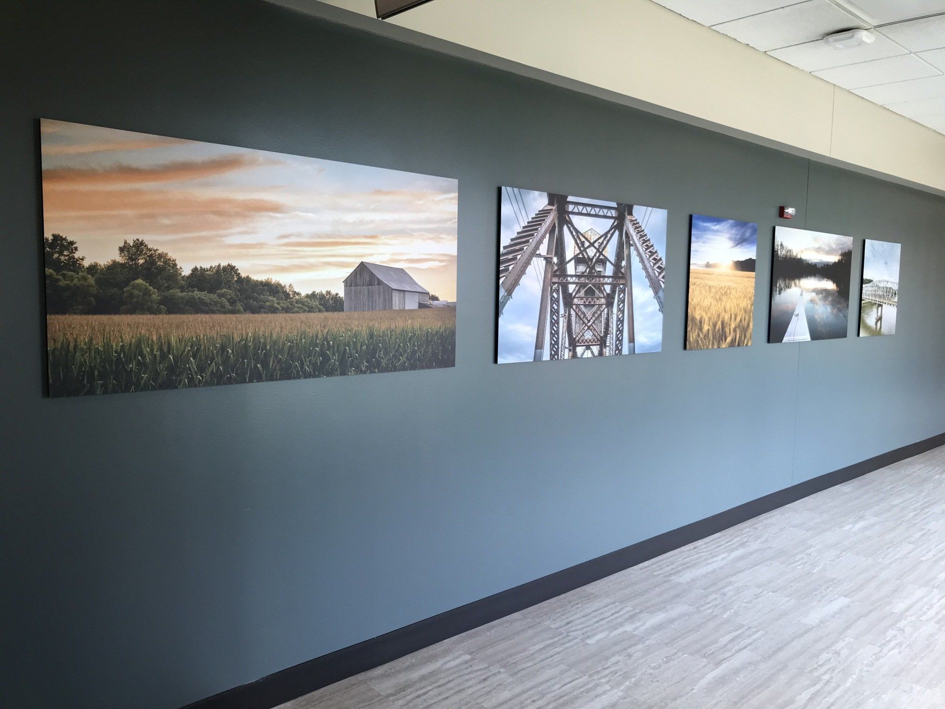 A row of paintings are hanging on a wall in a hallway.