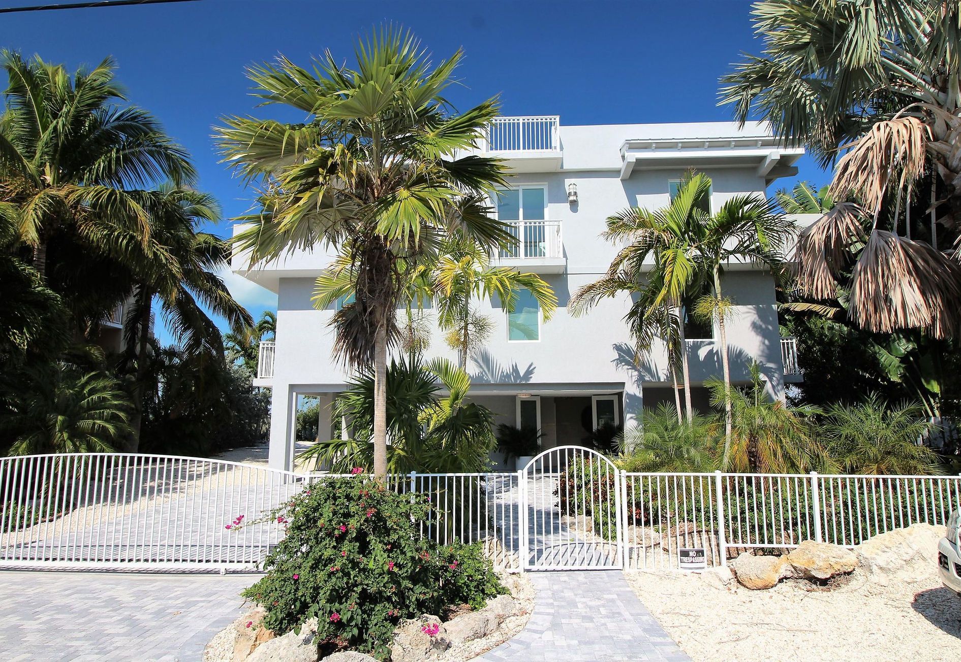 A white house with palm trees in front of it