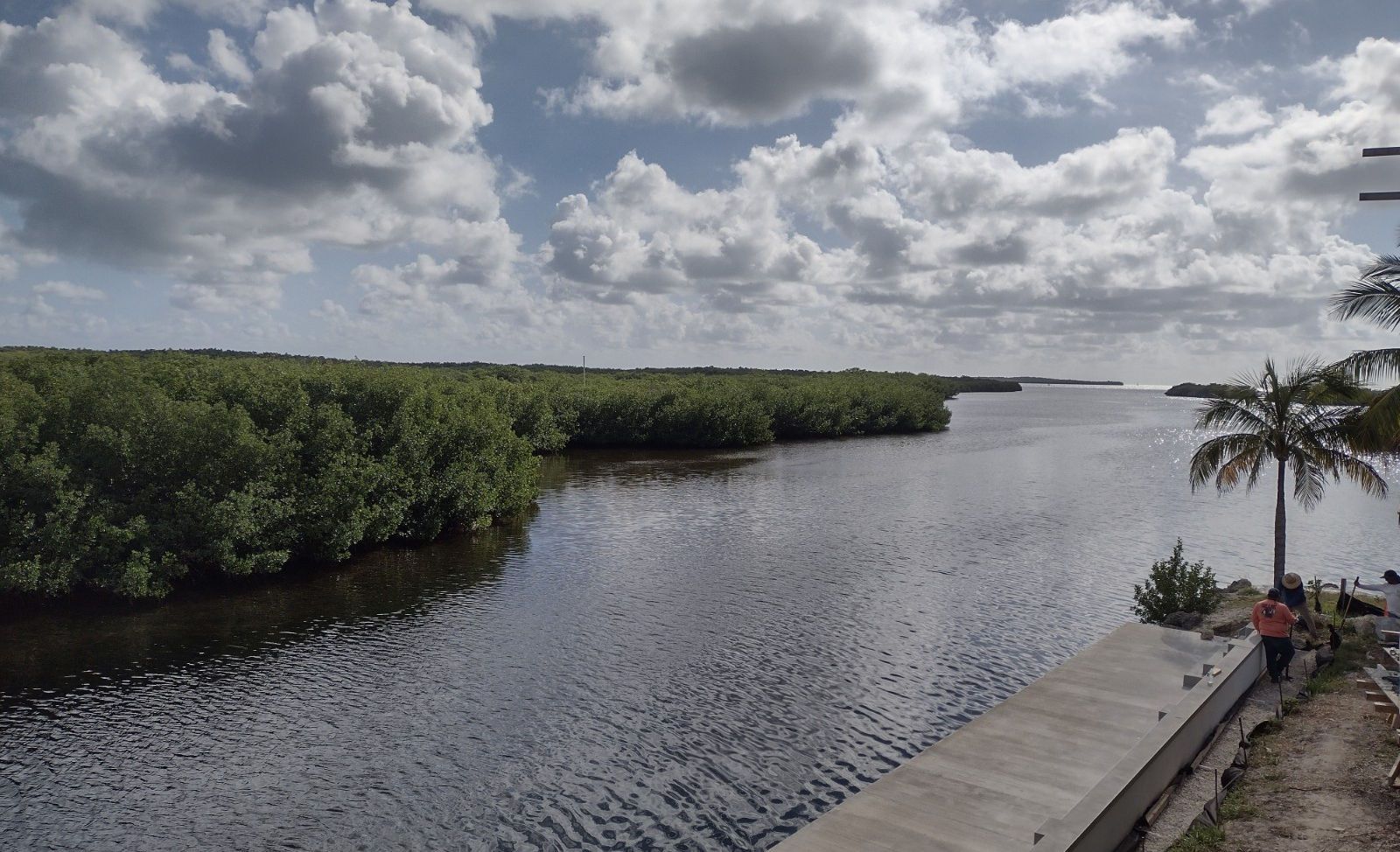 A large body of water surrounded by trees on a sunny day.