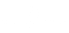 Reef Construction Group LLC