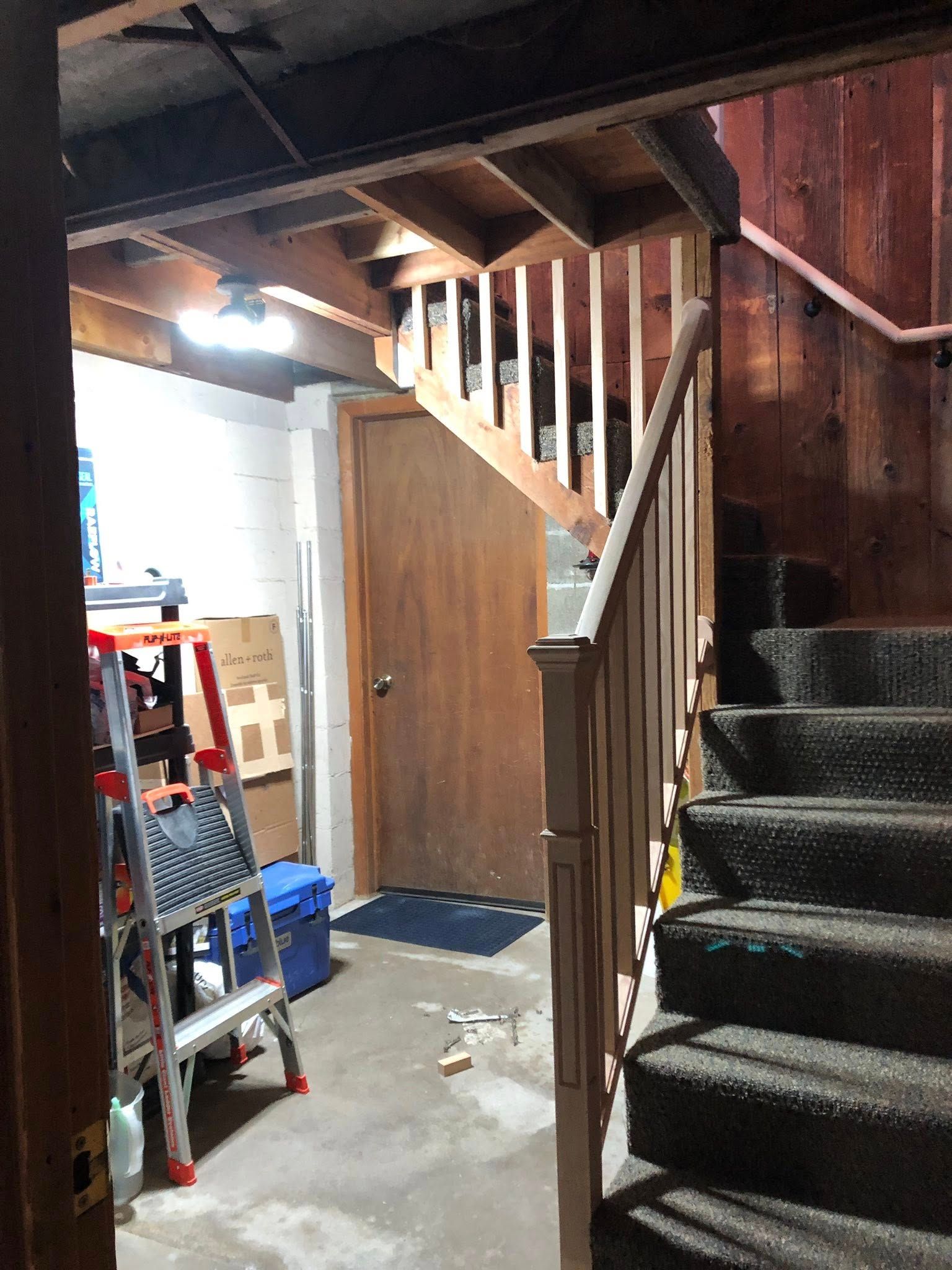 A carpeted staircase leading upward next to a wooden door and a ladder in a basement area with exposed ceiling joists.