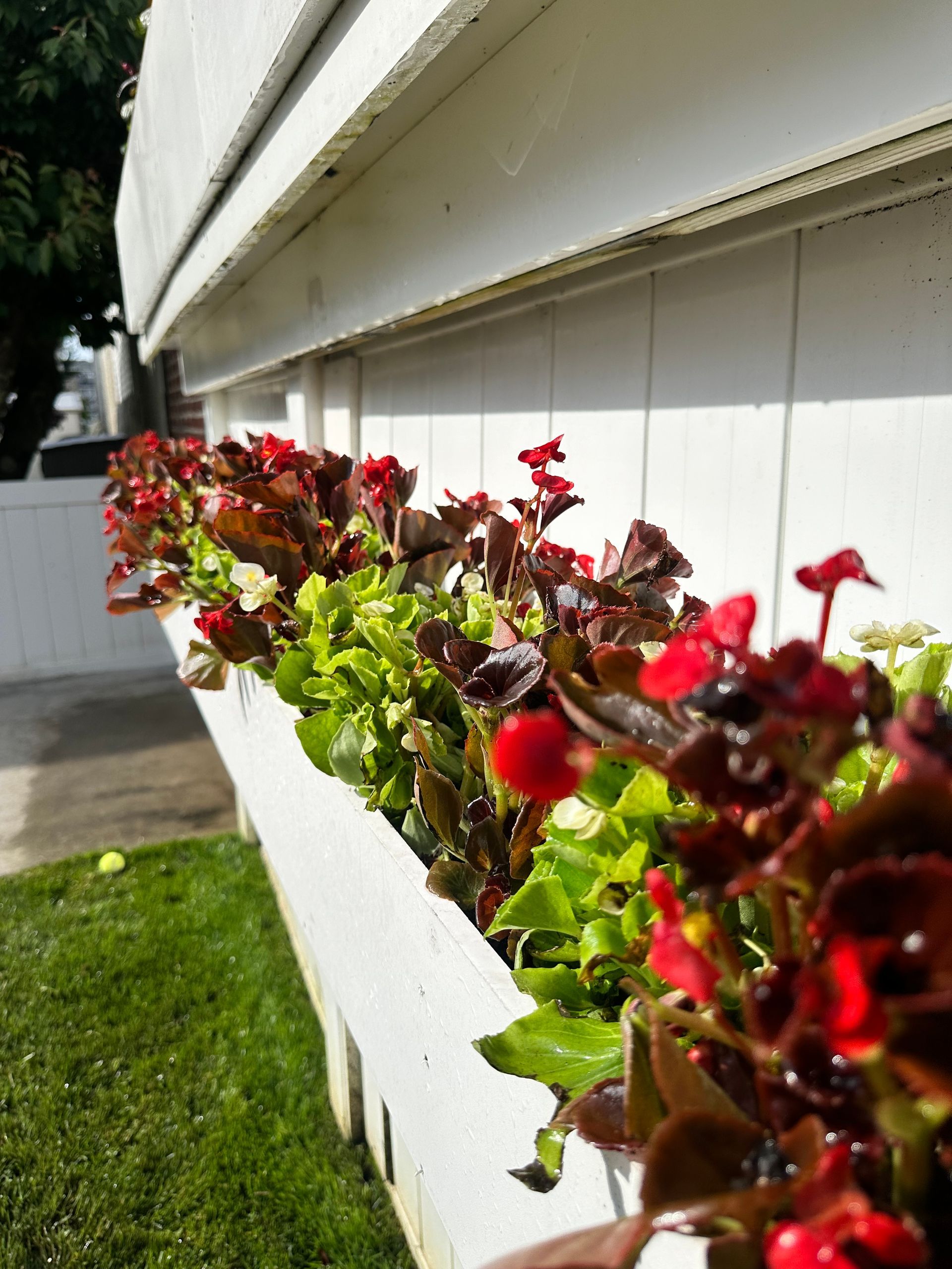 professional landscape design nj