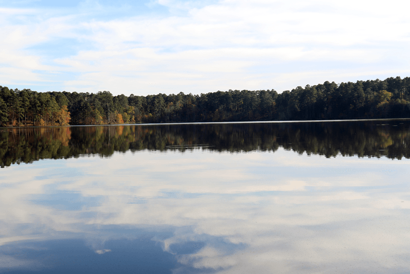 Webster Parish - view of a lake