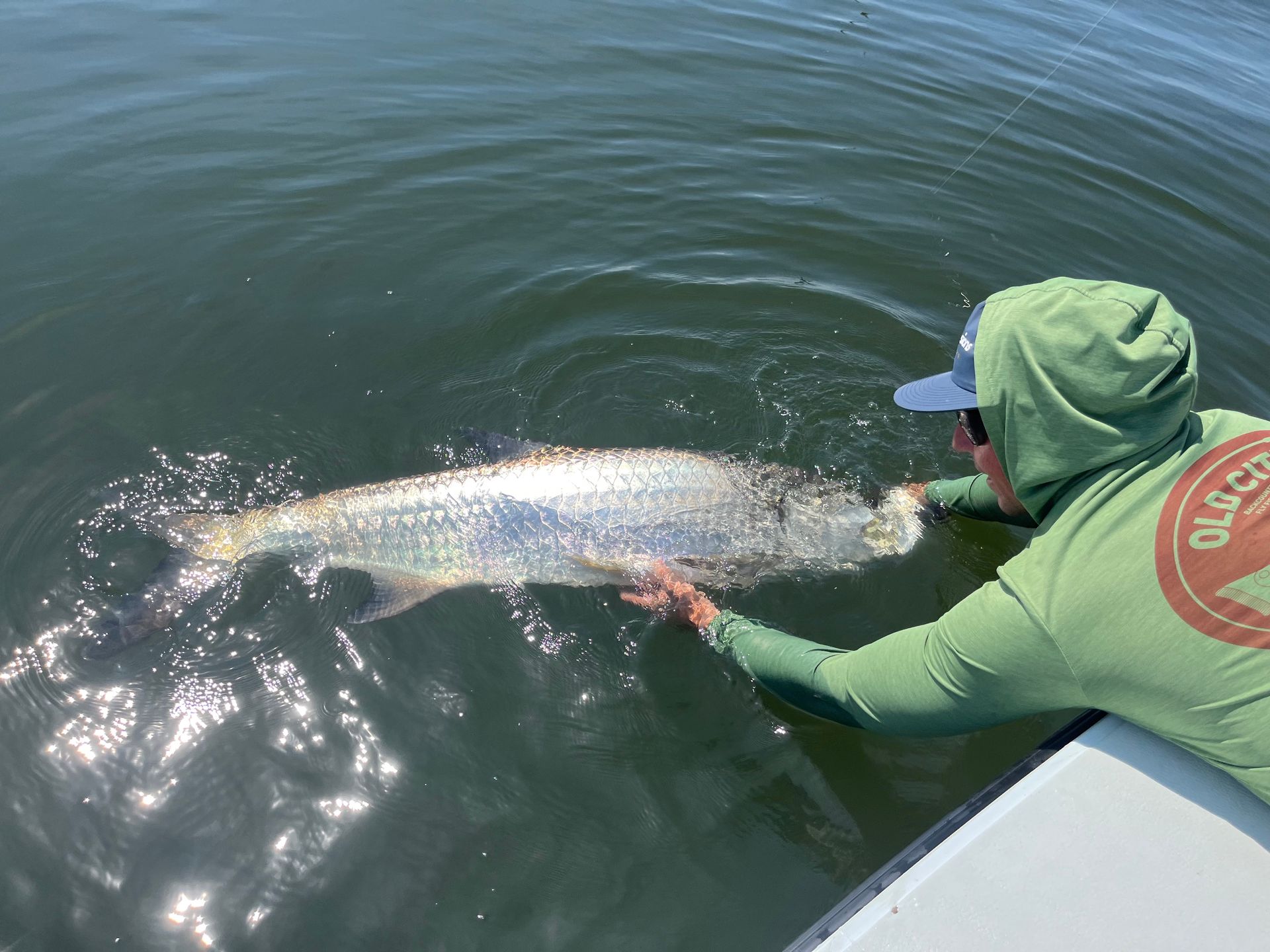 Person holding a large, silver tarpon in the water from a boat, Florida.
