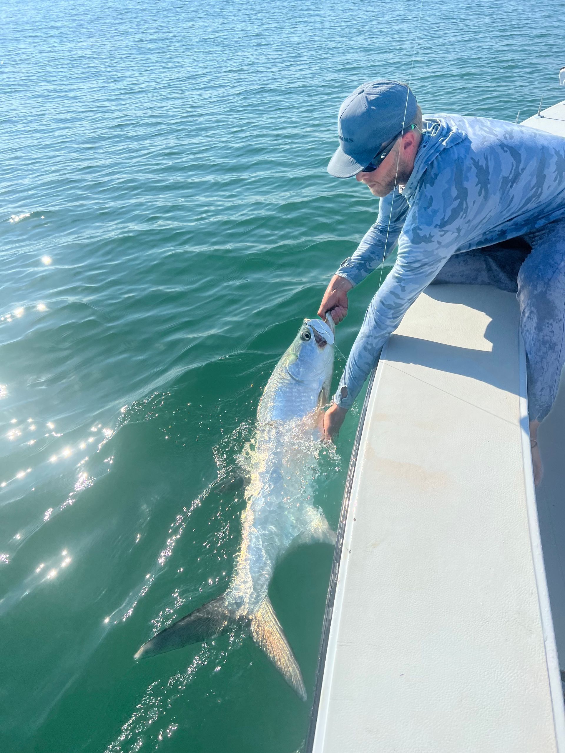 Person releases a silver tarpon from a boat into water.