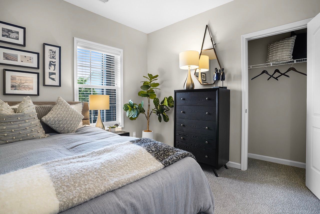 Bedroom in an apartment with a bed, dresser, plant, and open closet.