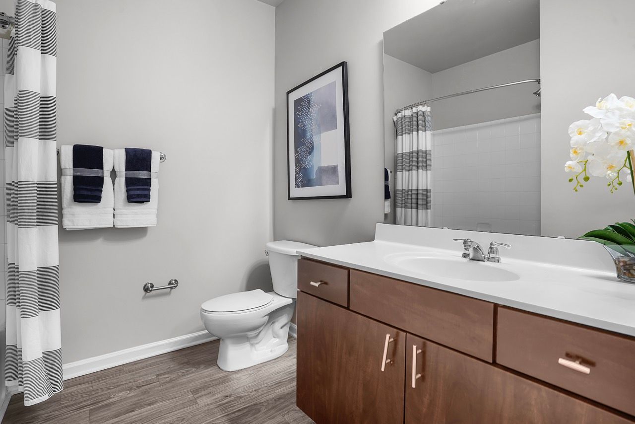 Bathroom with a wood vanity, white countertop, mirror, toilet, and striped shower curtain.