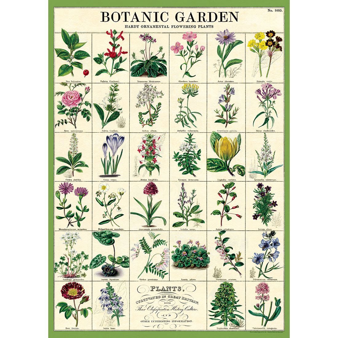 Poster com flores Botanic Garden da Cavallini