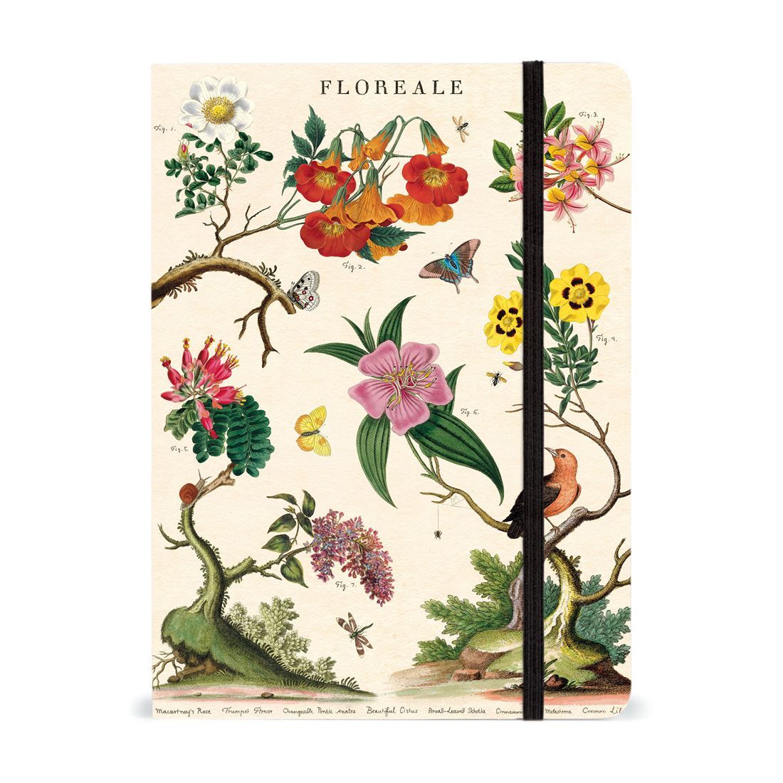 Caderno com Elástico Floreale da Cavallini