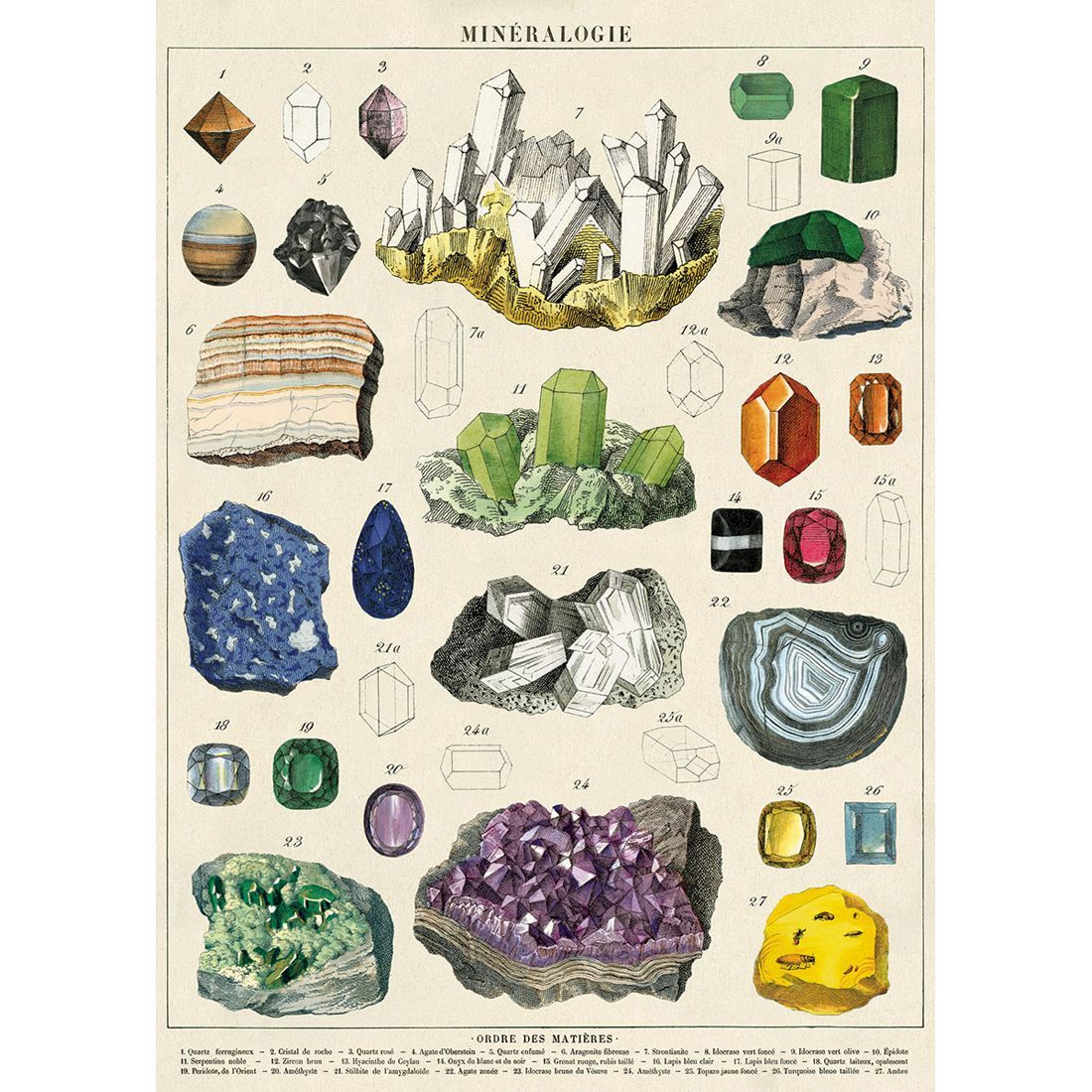 Poster com minerais Mineralogie da Cavallini