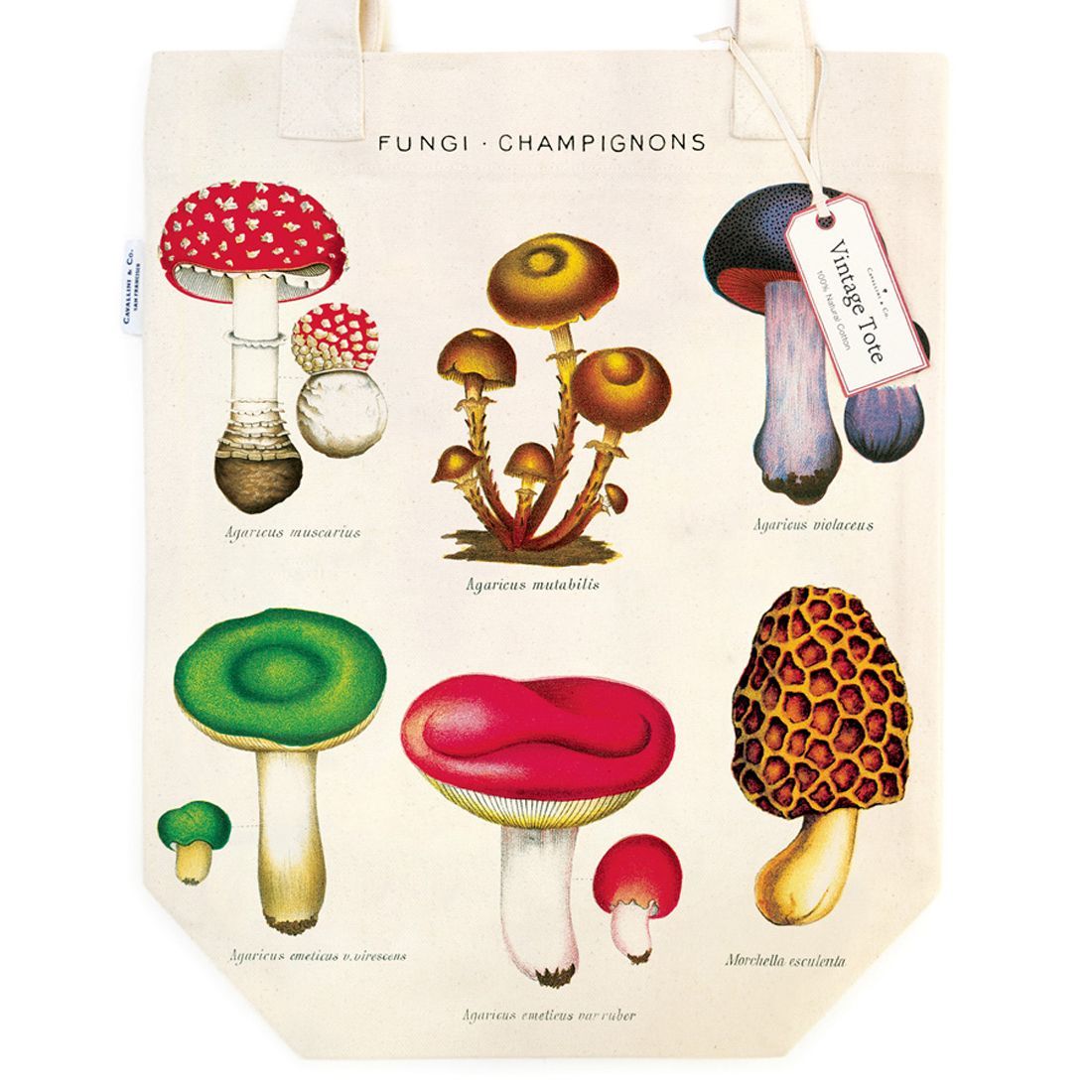 Tote Bag Mushrooms da Cavallini