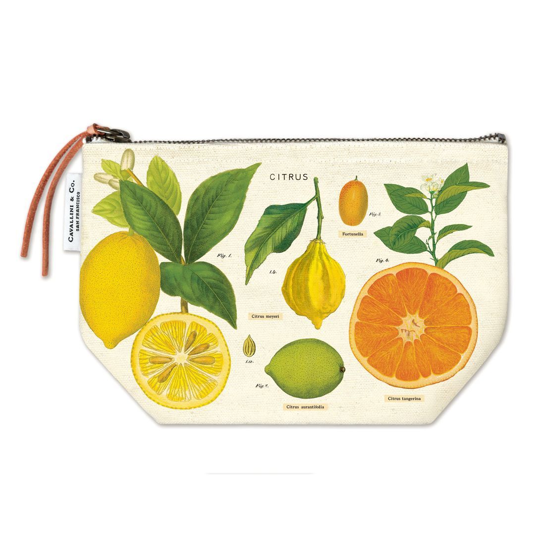 Bolsa Vintage Citrus da Cavallini