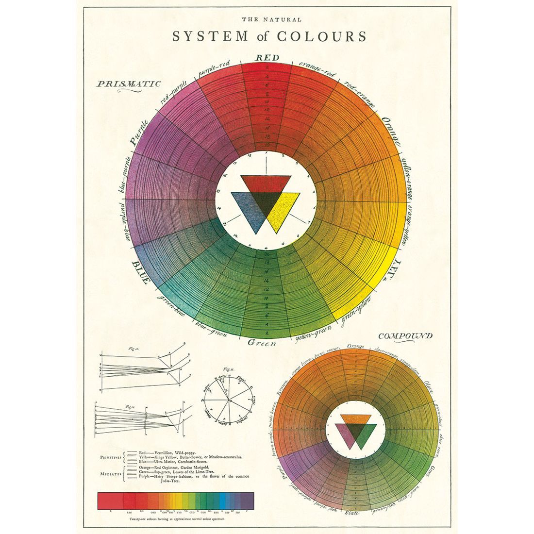 Poster com escala de cores Color Wheel da Cavallini