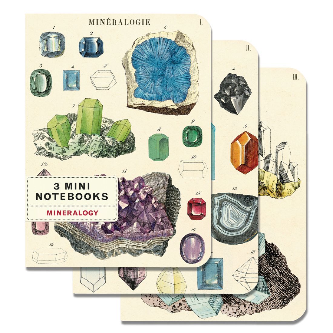 Mini Notebook Mineralogy da Cavallini