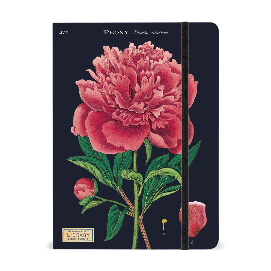 Caderno com Elástico Botany da Cavallini