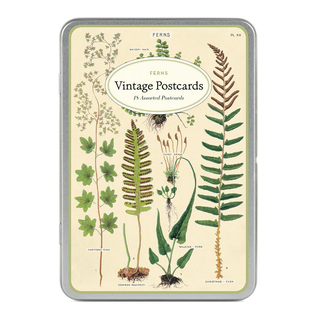 Postais vintage Ferns da Cavallini