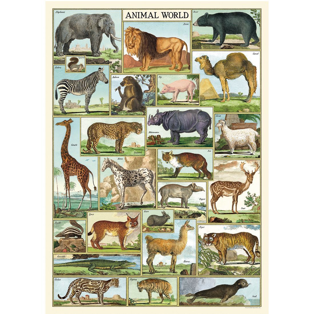 Poster com animais Animal World da Cavallini