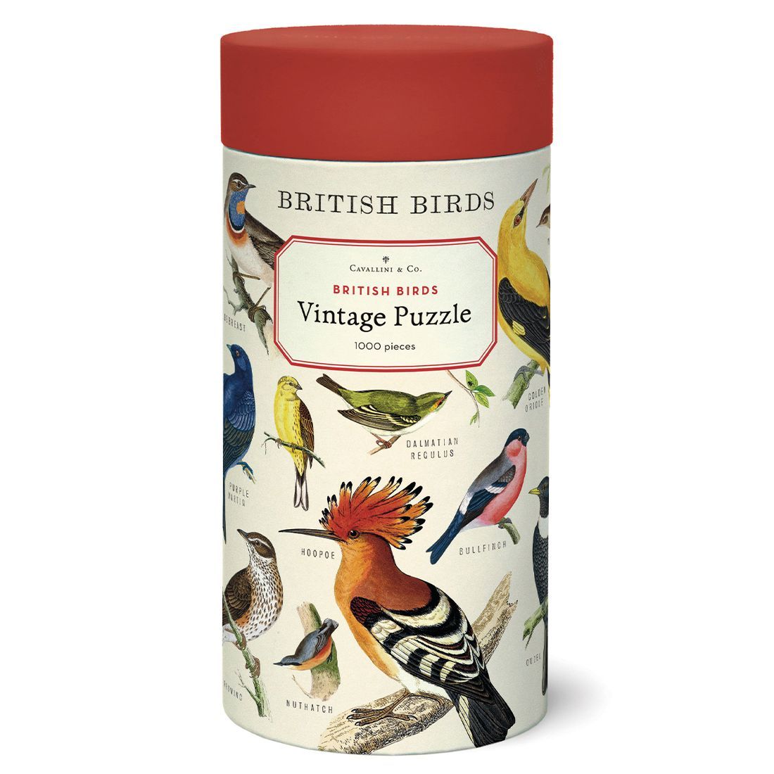 Puzzle Vintage British Birds da Cavallini