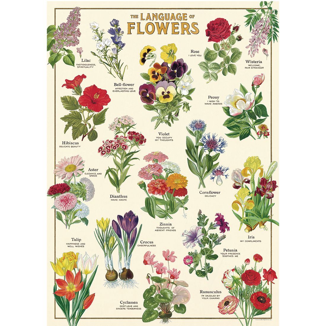 Poster com flores Language of Flowers da Cavallini