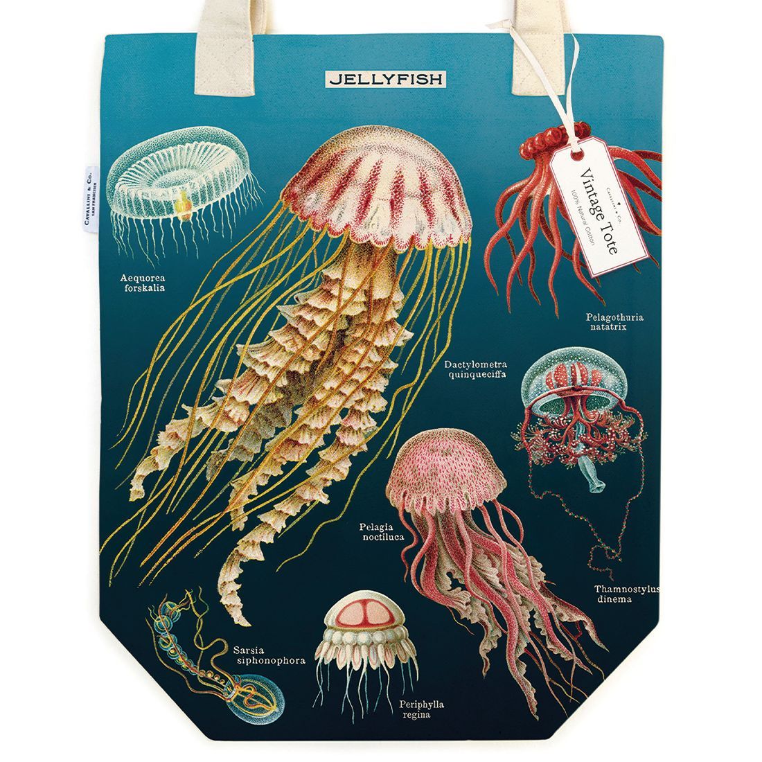 Tote Bag Jellyfish da Cavallini