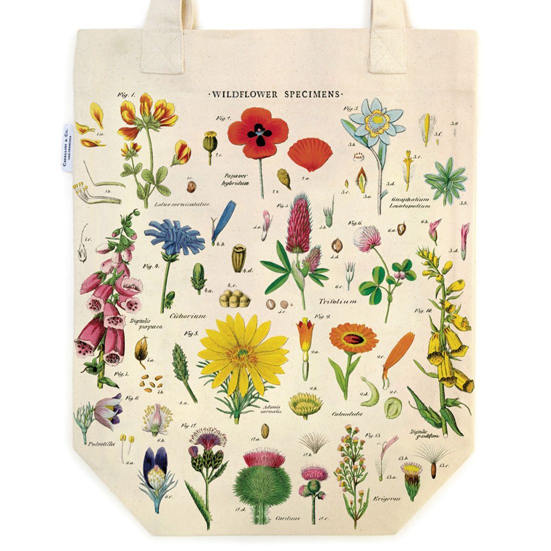 Tote Bag Wildflowers da Cavallini