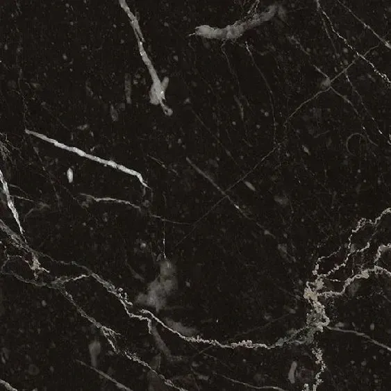 Fossil Finish Option for Countertops