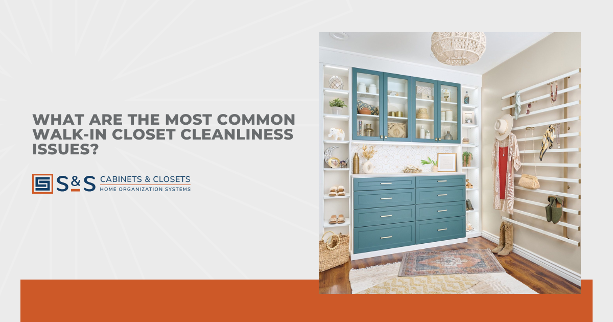 What Are the Most Common Walk-In Closet Cleanliness Issues?