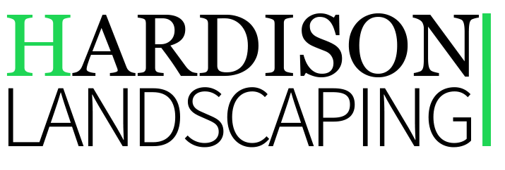 The letter h is green and the letter i is green on a white background.