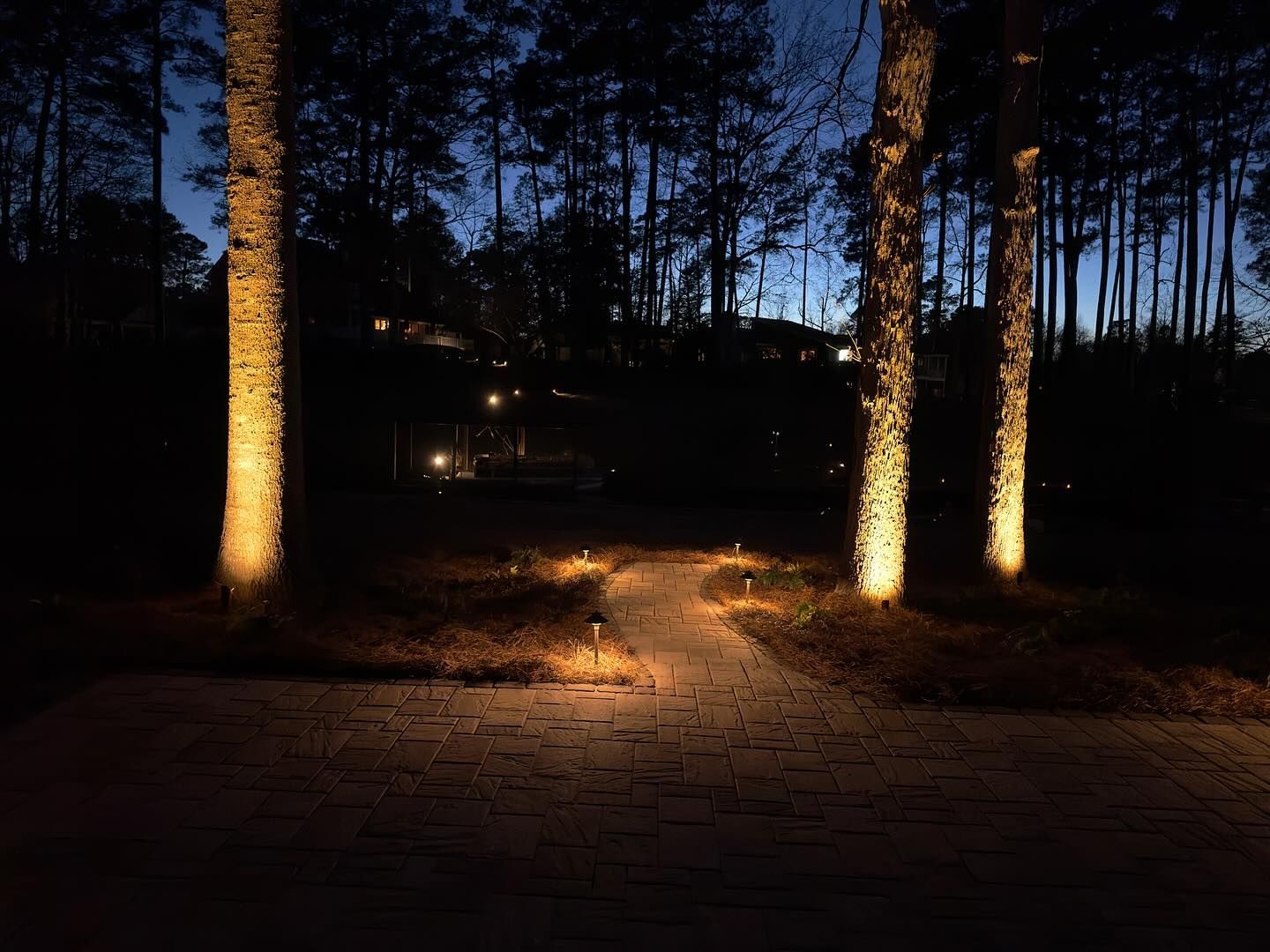 A path in the woods is lit up at night.