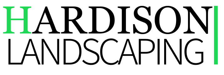 The letter h is green and the letter i is green on a white background.