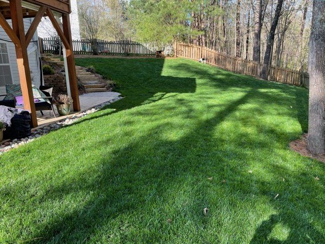 A lush green lawn with a wooden deck in the background.