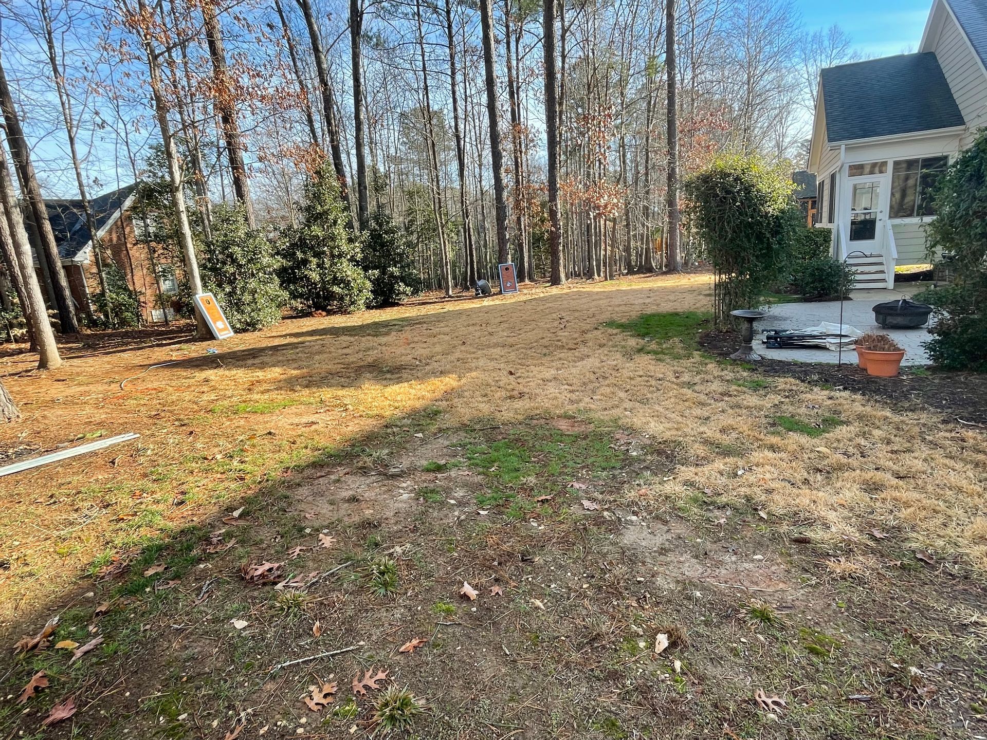 A backyard with a house and trees in the background.