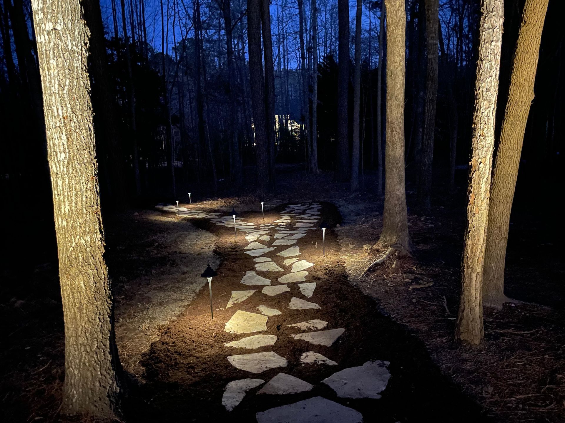 A path in the woods is lit up at night