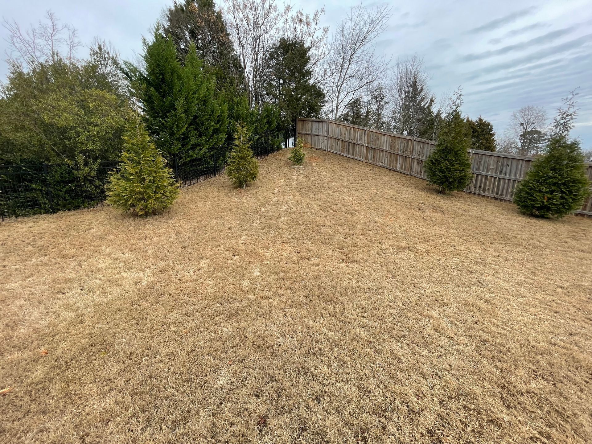 A backyard with a wooden fence and trees in the background.