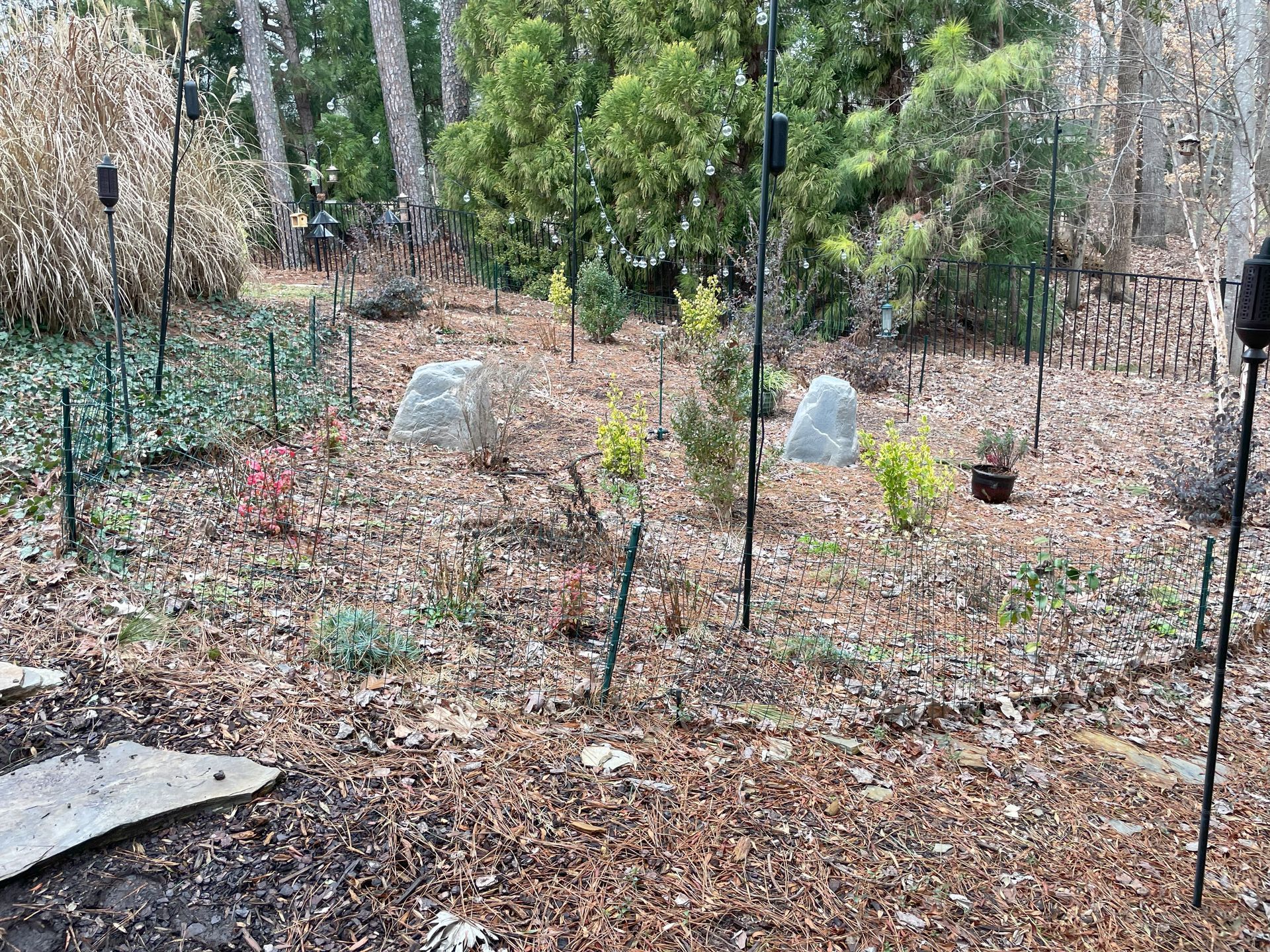 A garden filled with lots of plants and rocks.