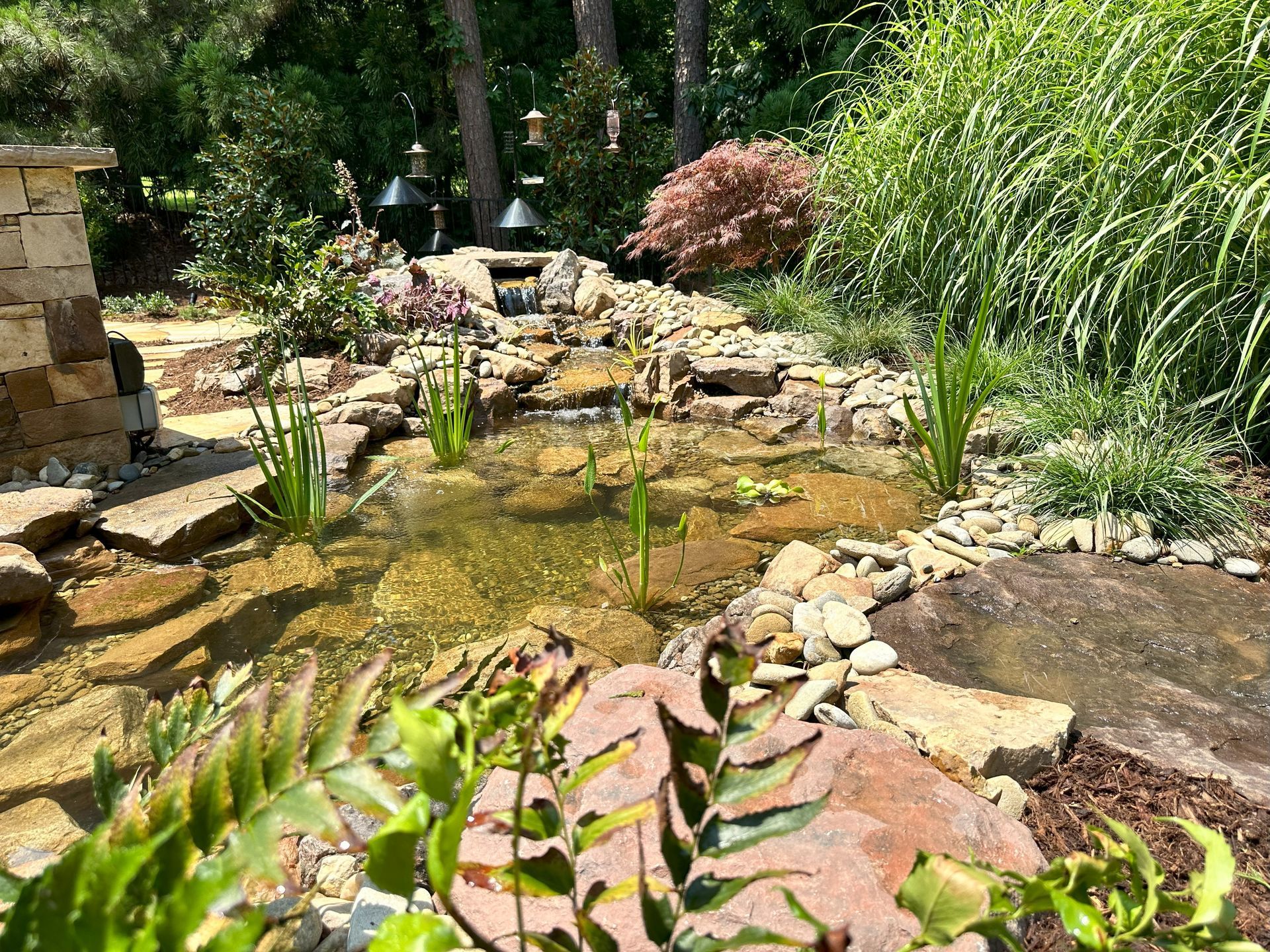A pond surrounded by rocks and plants in a garden.